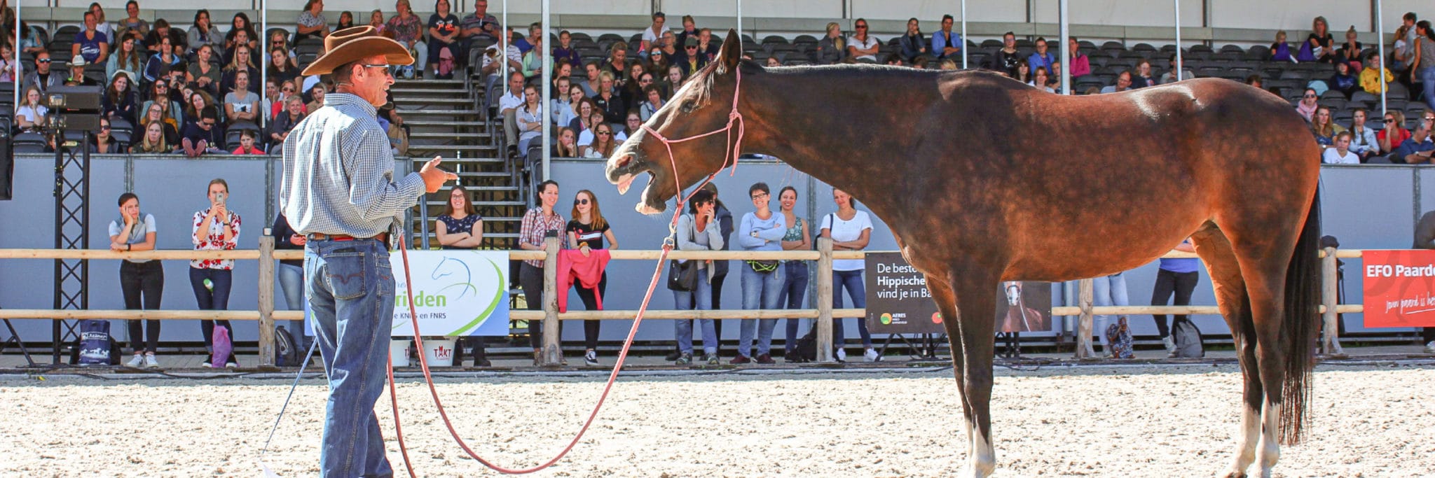 Warwick Schiller's Attuned Horsemanship Facebook ad: Warwick Schiller Masterclass Sugarloaf Cobbity