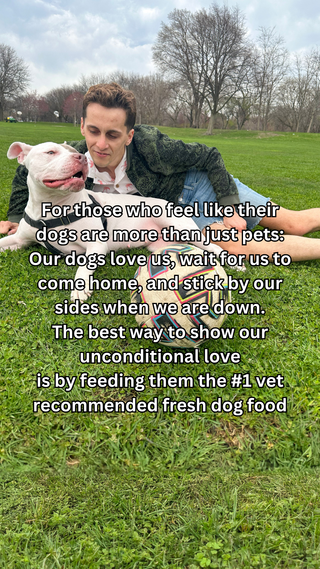 Aaron & Theo Facebook ad