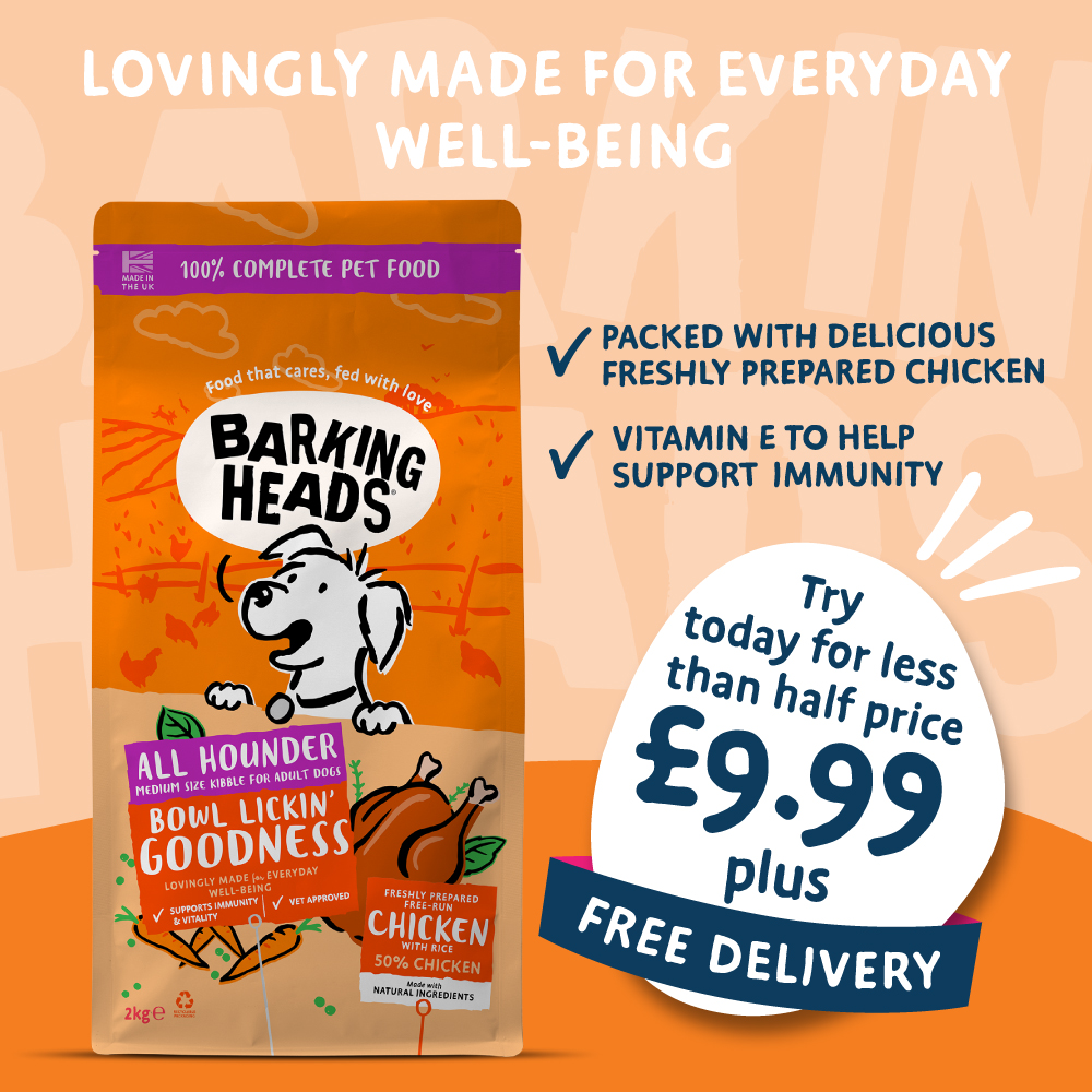 Barking Heads and Meowing Heads Facebook ad from Aug 18, 2025