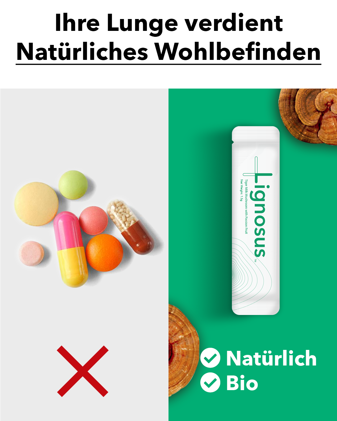 Lignosus Europe Facebook ad