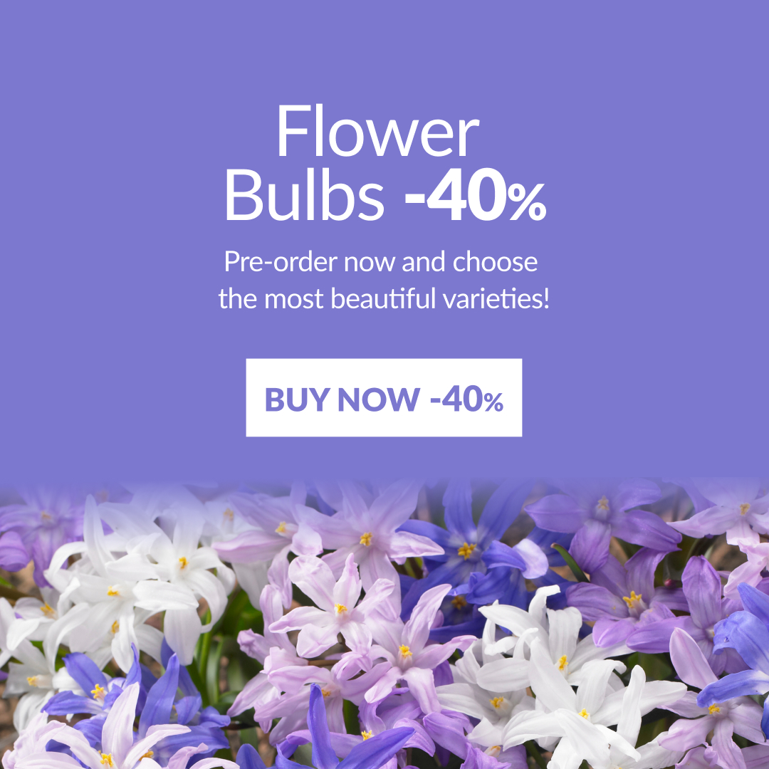 Garden Seeds Market Facebook ad
