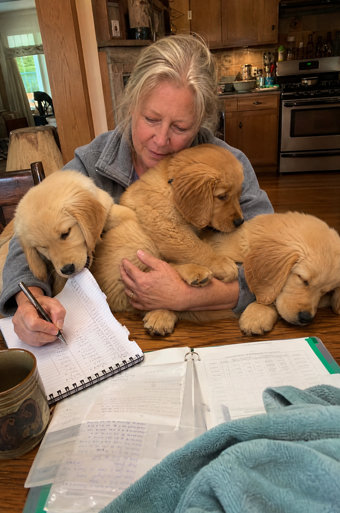 Dog Training Tips & Support Facebook ad