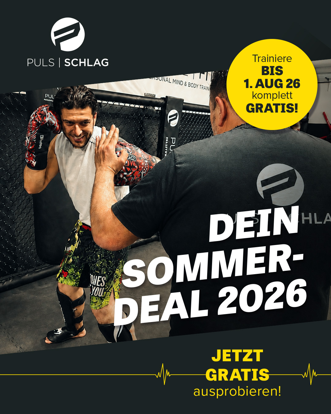 PULS Schlag Facebook ad from Jun 16, 2026