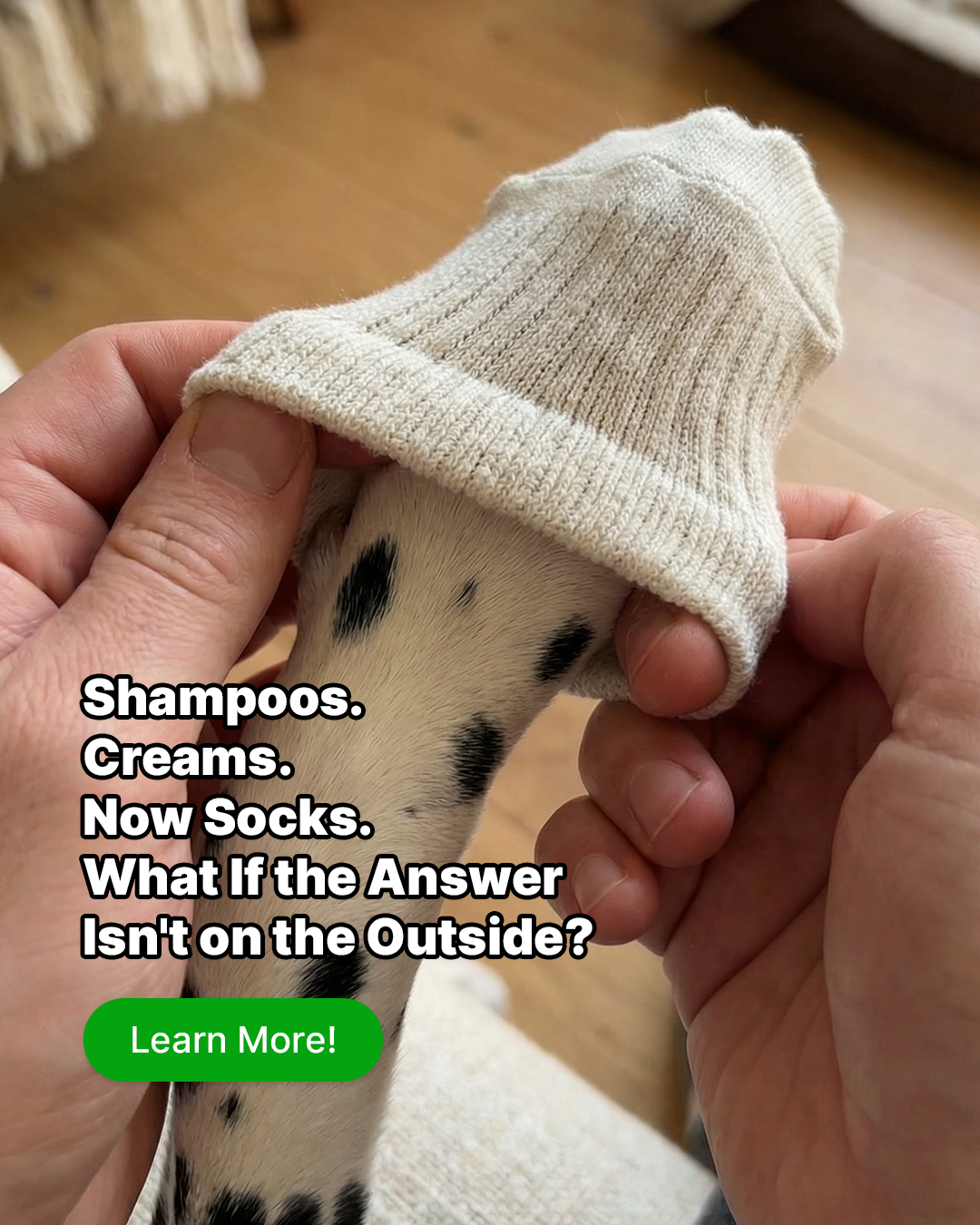PetLab Co. Facebook ad