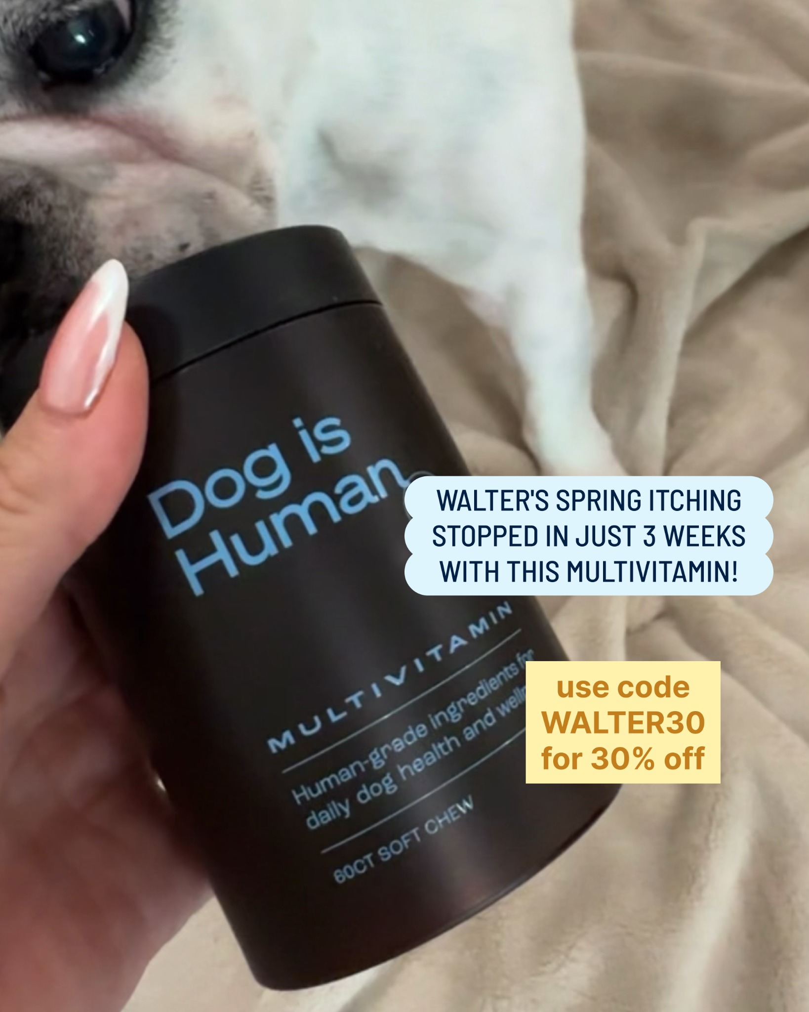 Dog is Human Facebook ad