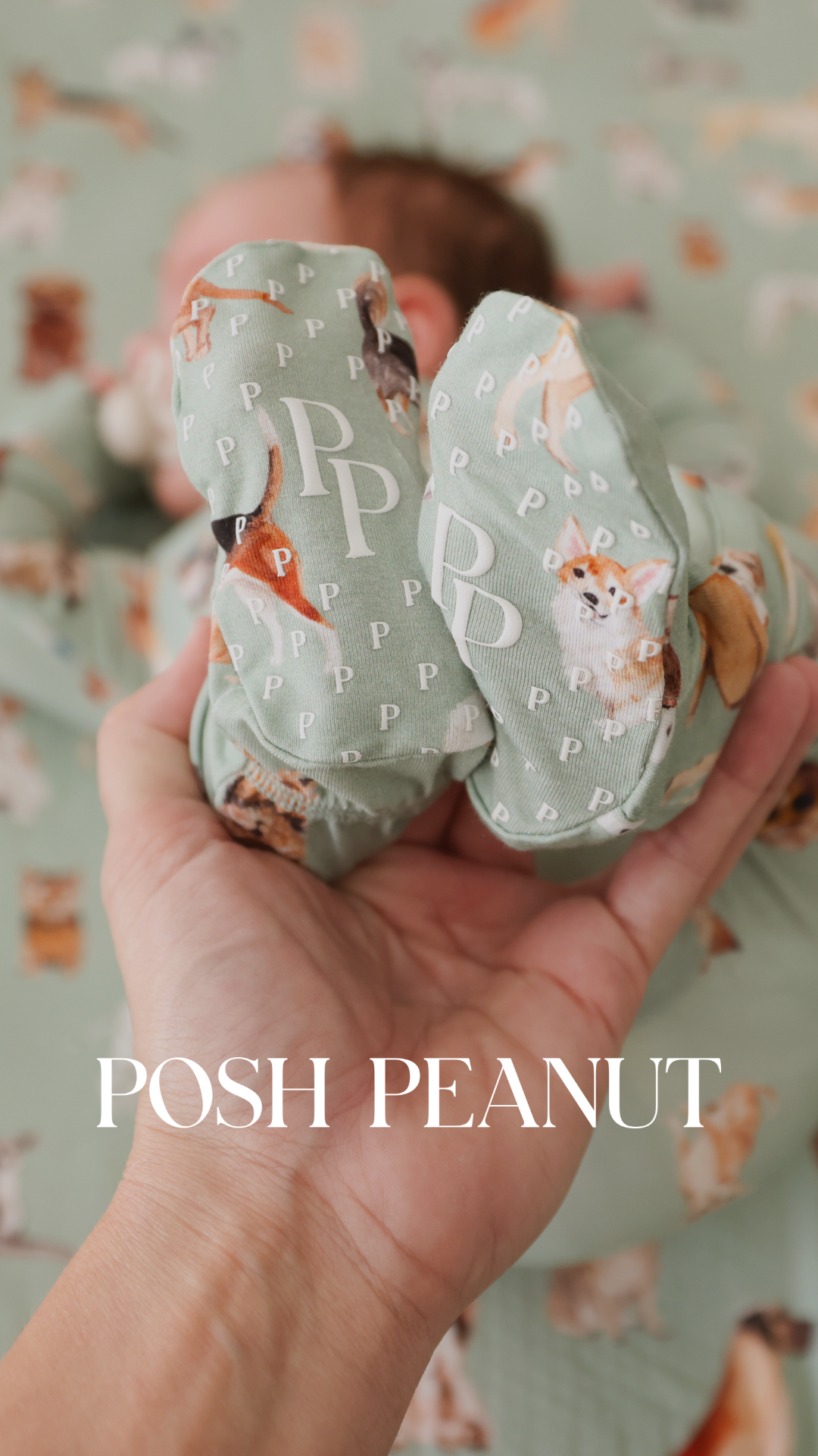 Posh Peanut Facebook ad