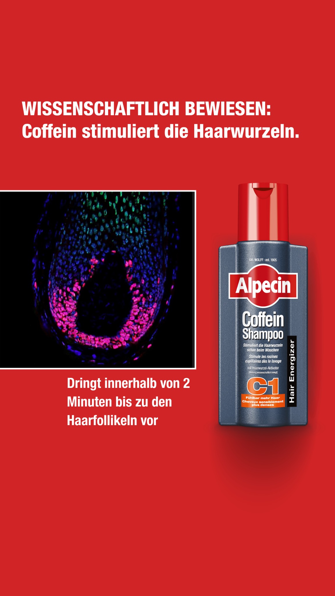 Alpecin Facebook ad