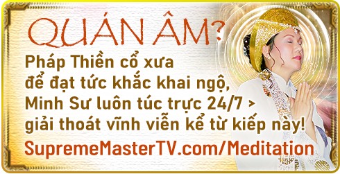 Pháp Môn Quán Âm - Ngài Thanh Hải Vô Thượng Sư Facebook ad: QUÁN ÂM?