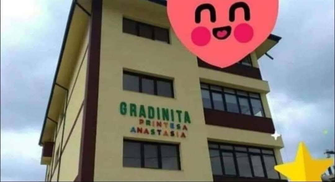 Gradinita Printesa Anastasia Facebook ad