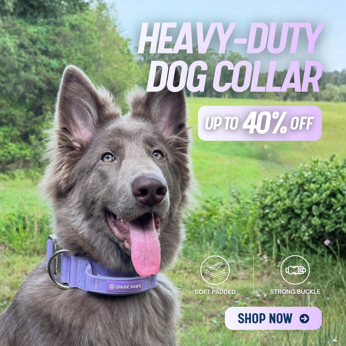 Spark Paws Facebook ad