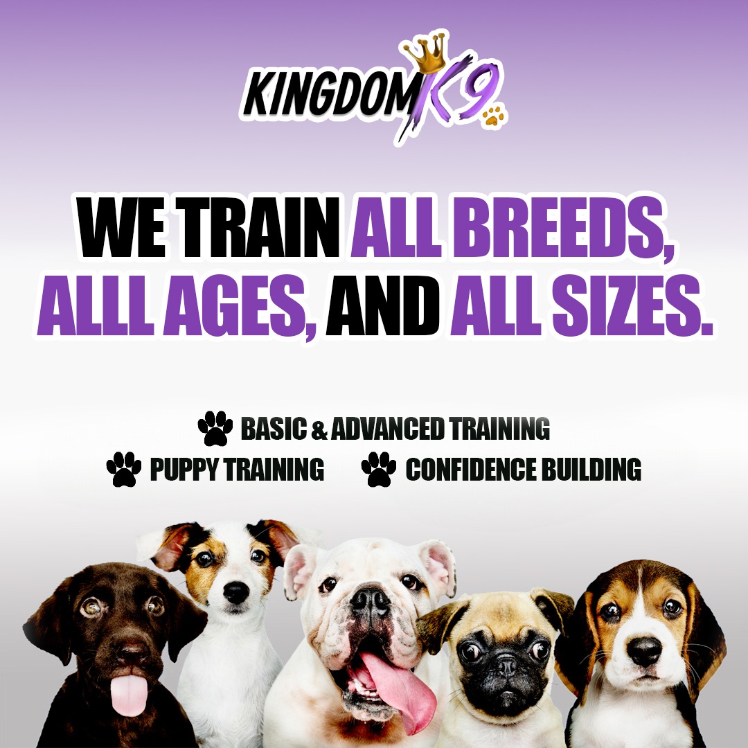 Kingdom K9 USA Facebook ad: Private, Custom Dog Training Lessons!