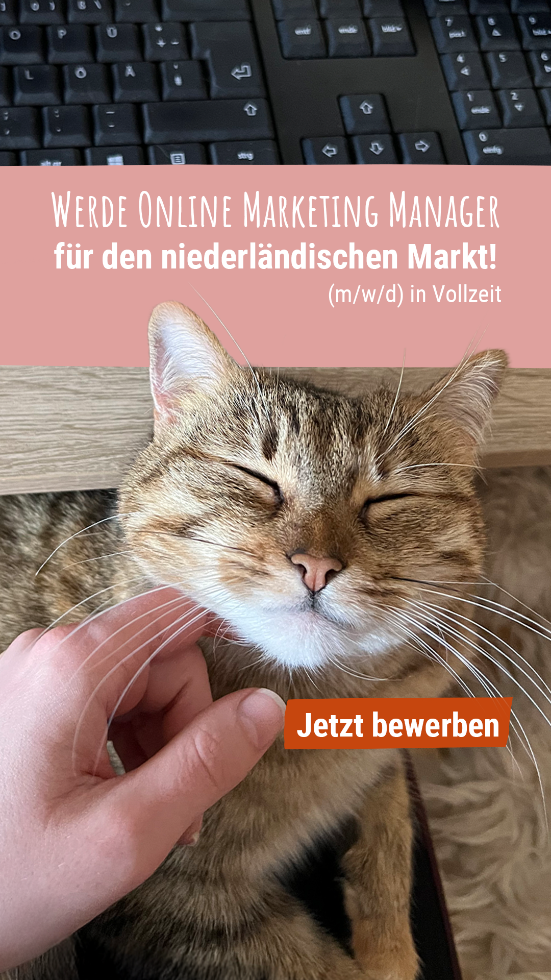 Platinum Facebook ad: Dein nächster Marketing-Job wartet