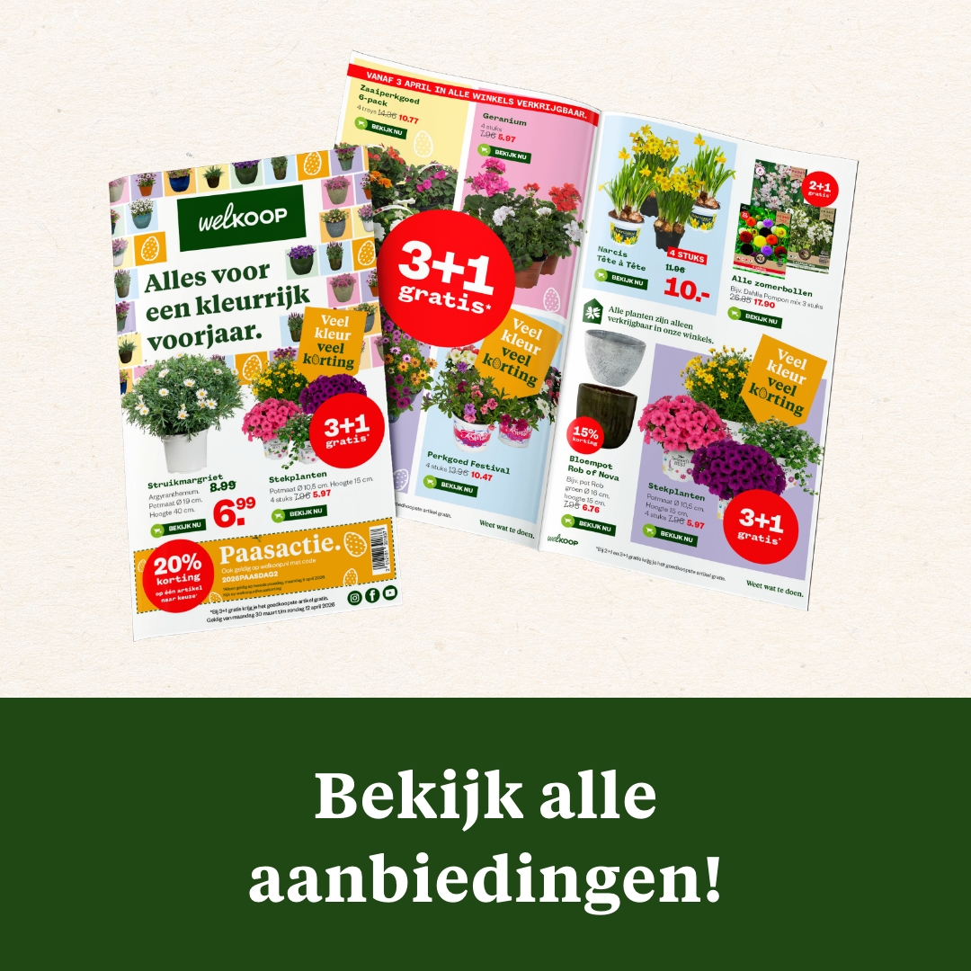 Welkoop Facebook ad