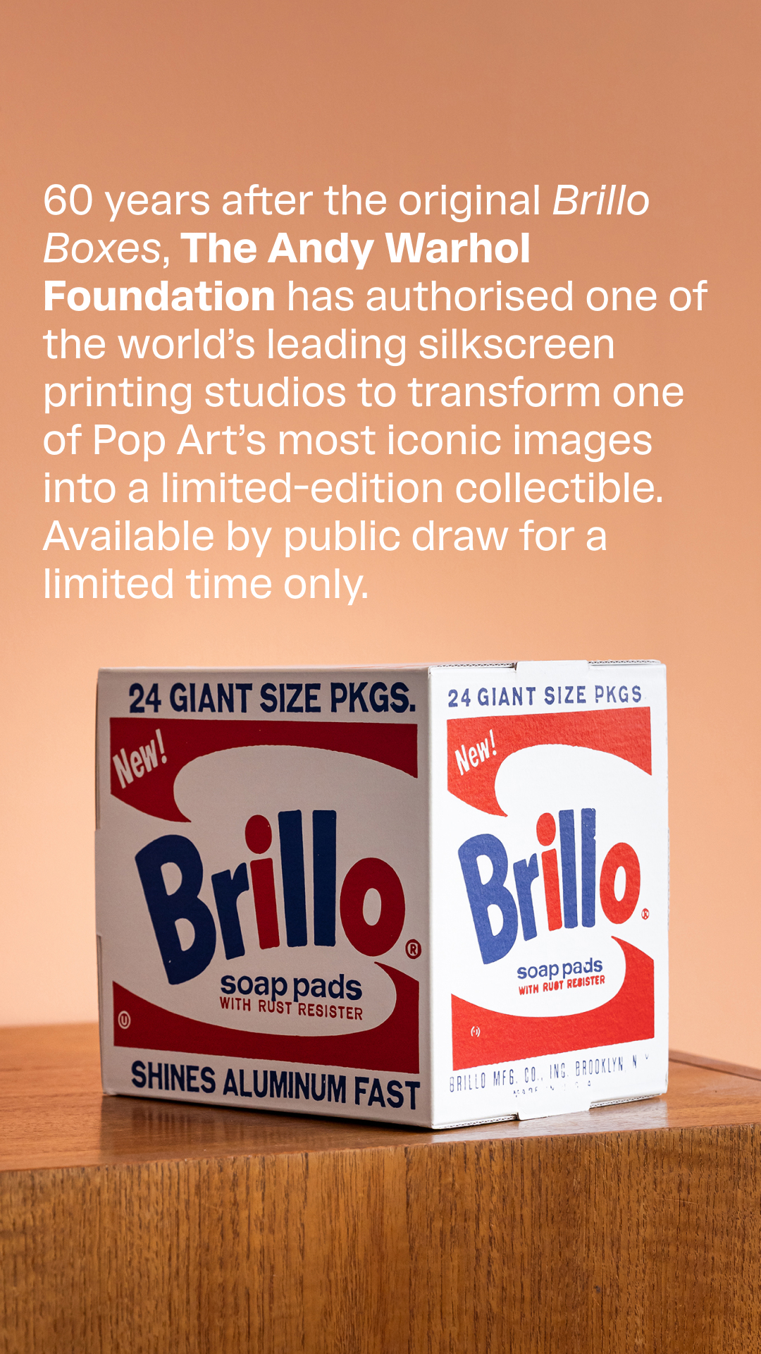 The Andy Warhol Foundation for the Visual Arts Facebook ad