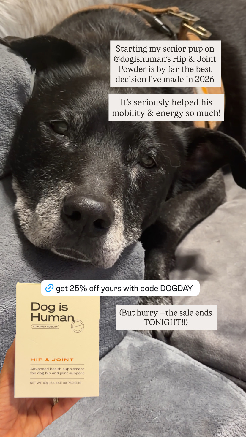 Dog is Human Facebook ad