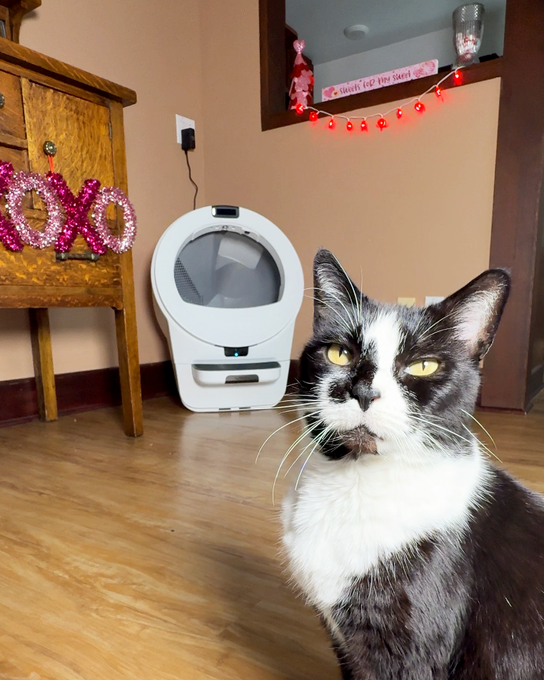 Whisker Facebook ad