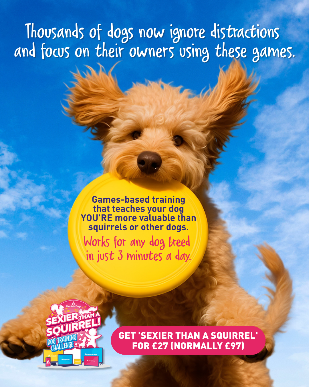 absoluteDOGS Facebook ad