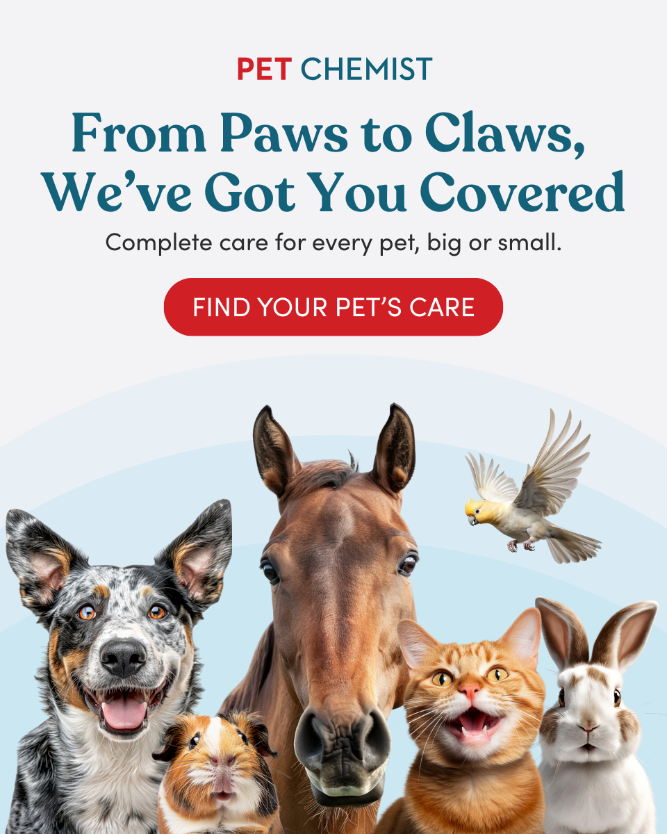 Pet Chemist Online Facebook ad