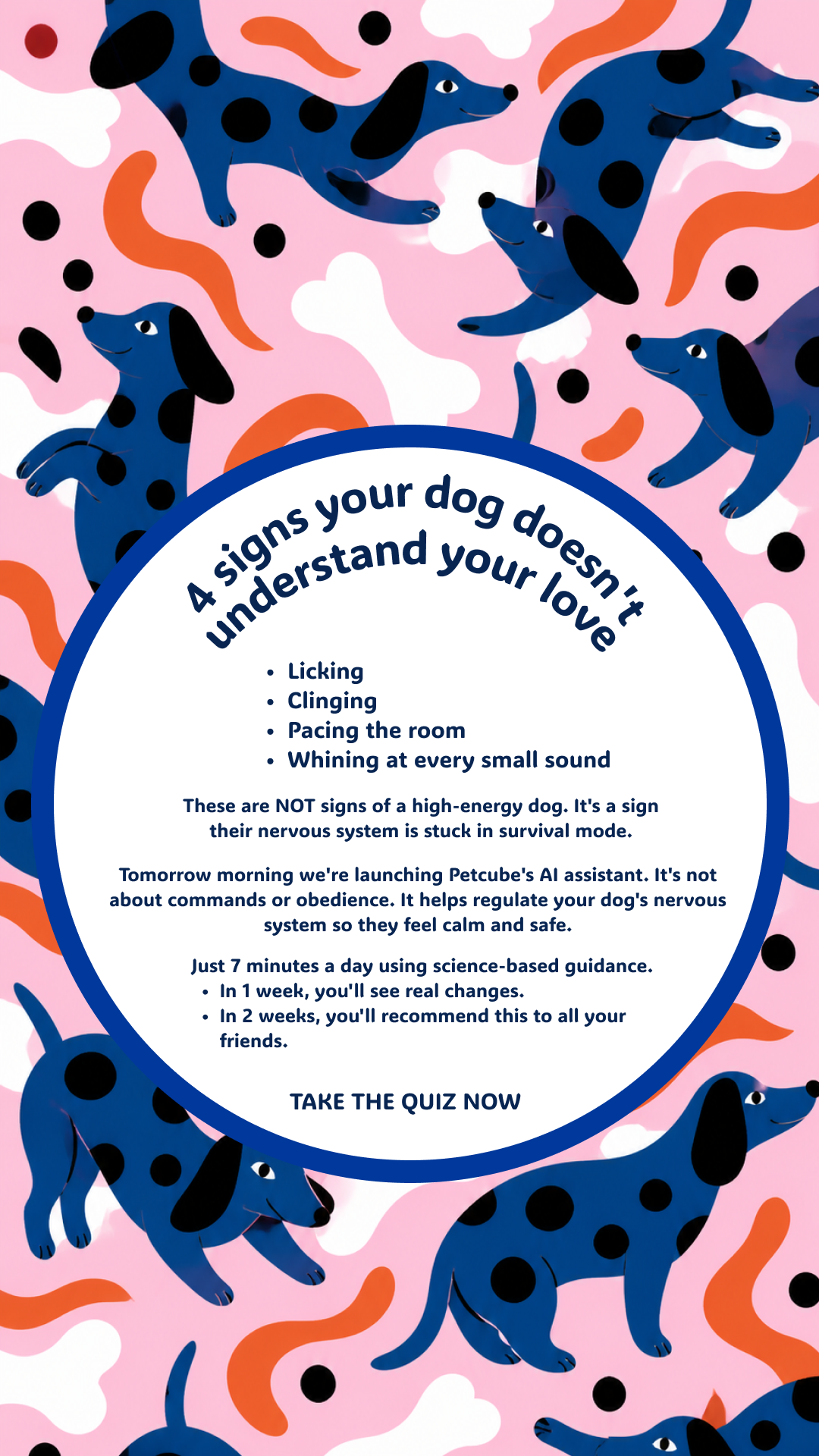 Petcube Facebook ad