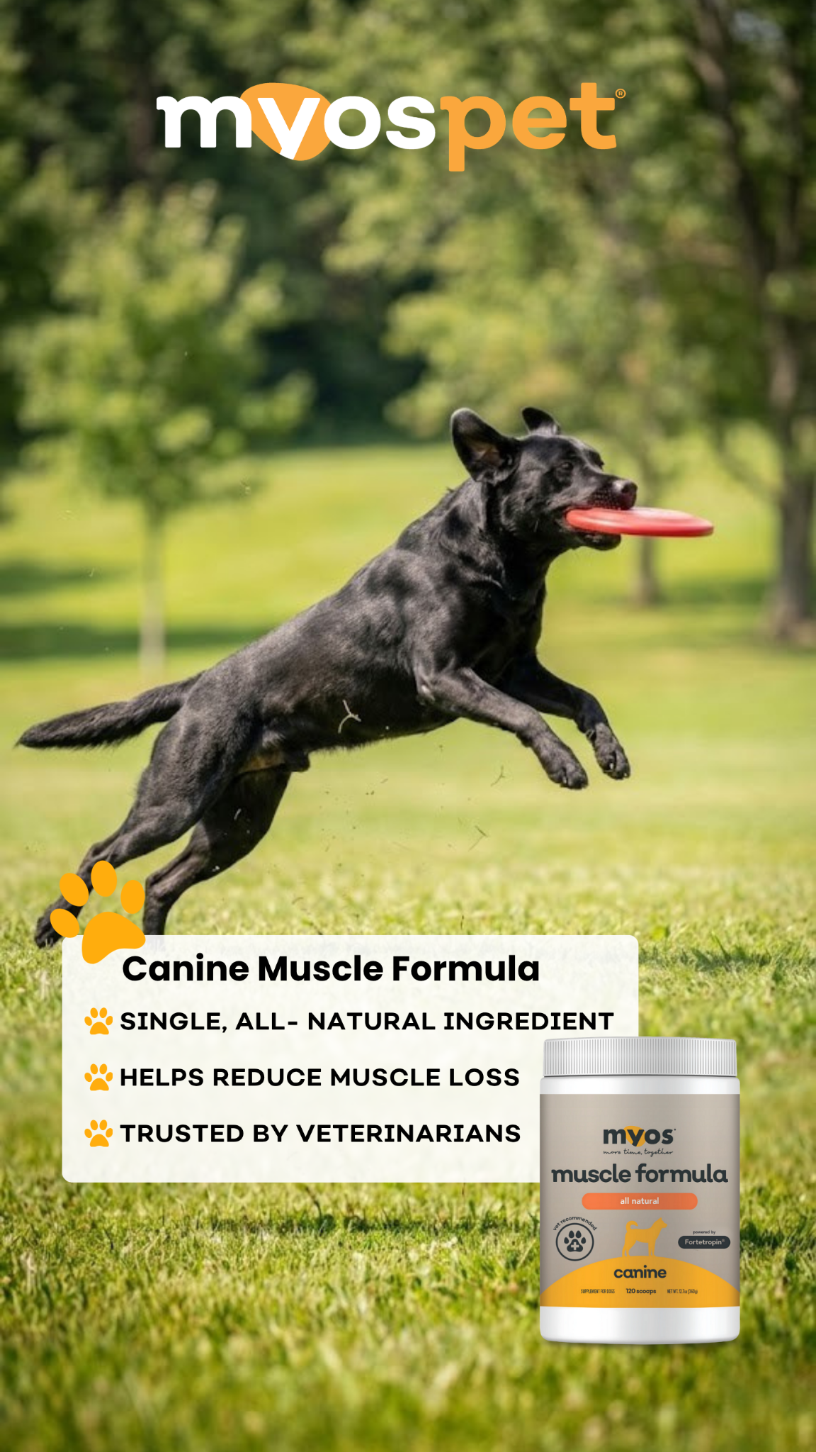 Myos Pet Products Facebook ad