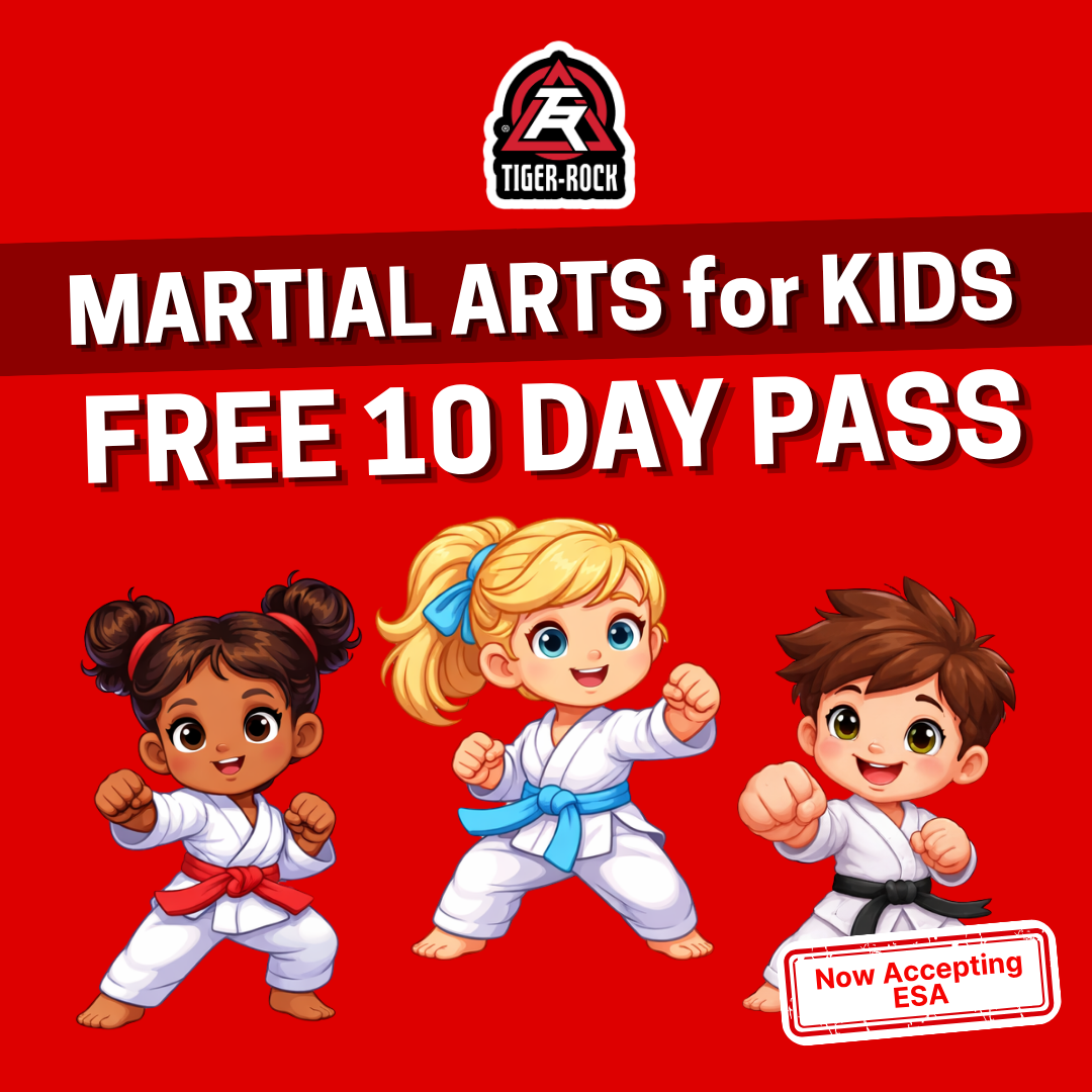 Tiger-Rock Martial Arts of Gilbert Facebook ad