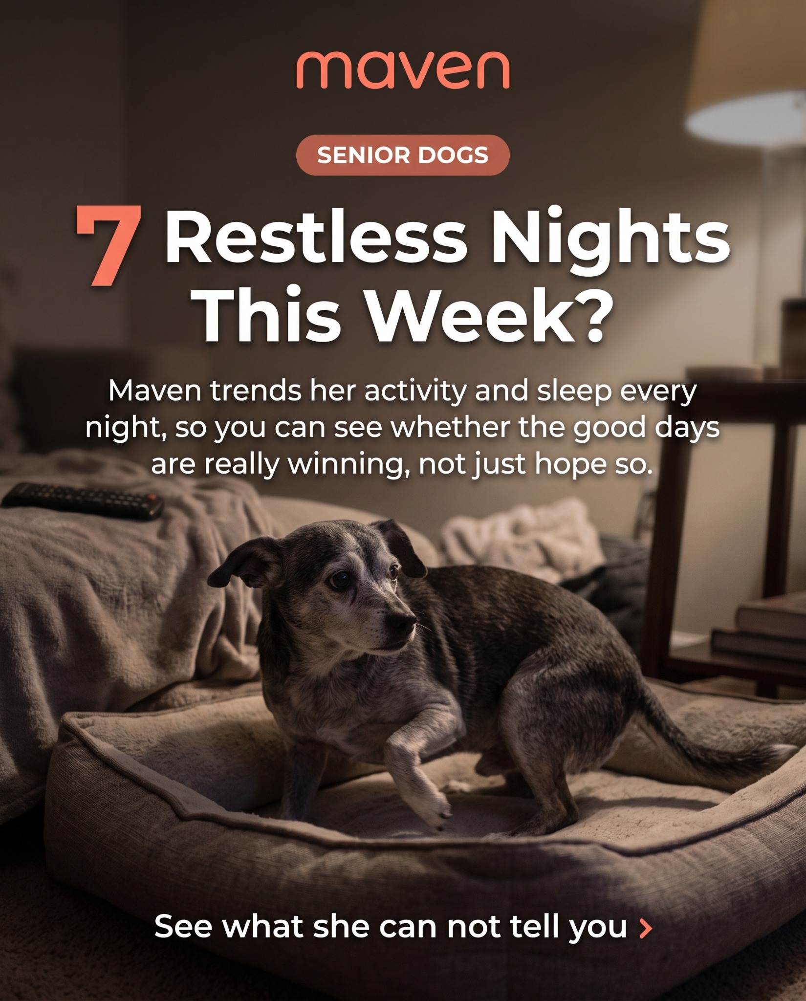 Maven Pet Facebook ad
