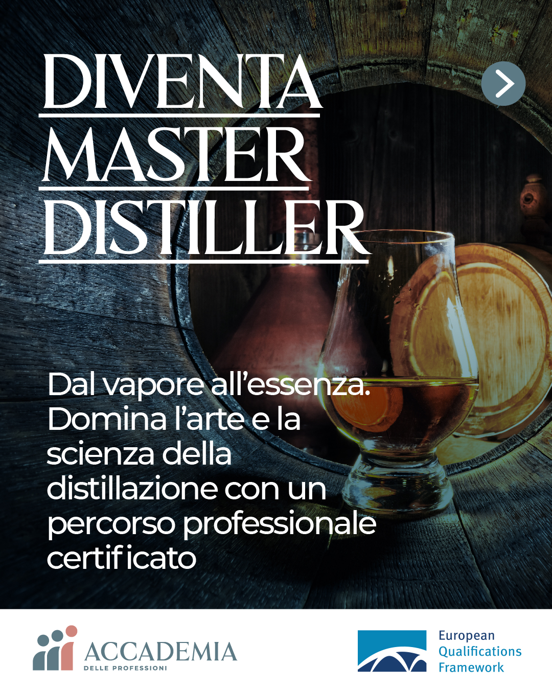Accademia delle Professioni Facebook ad