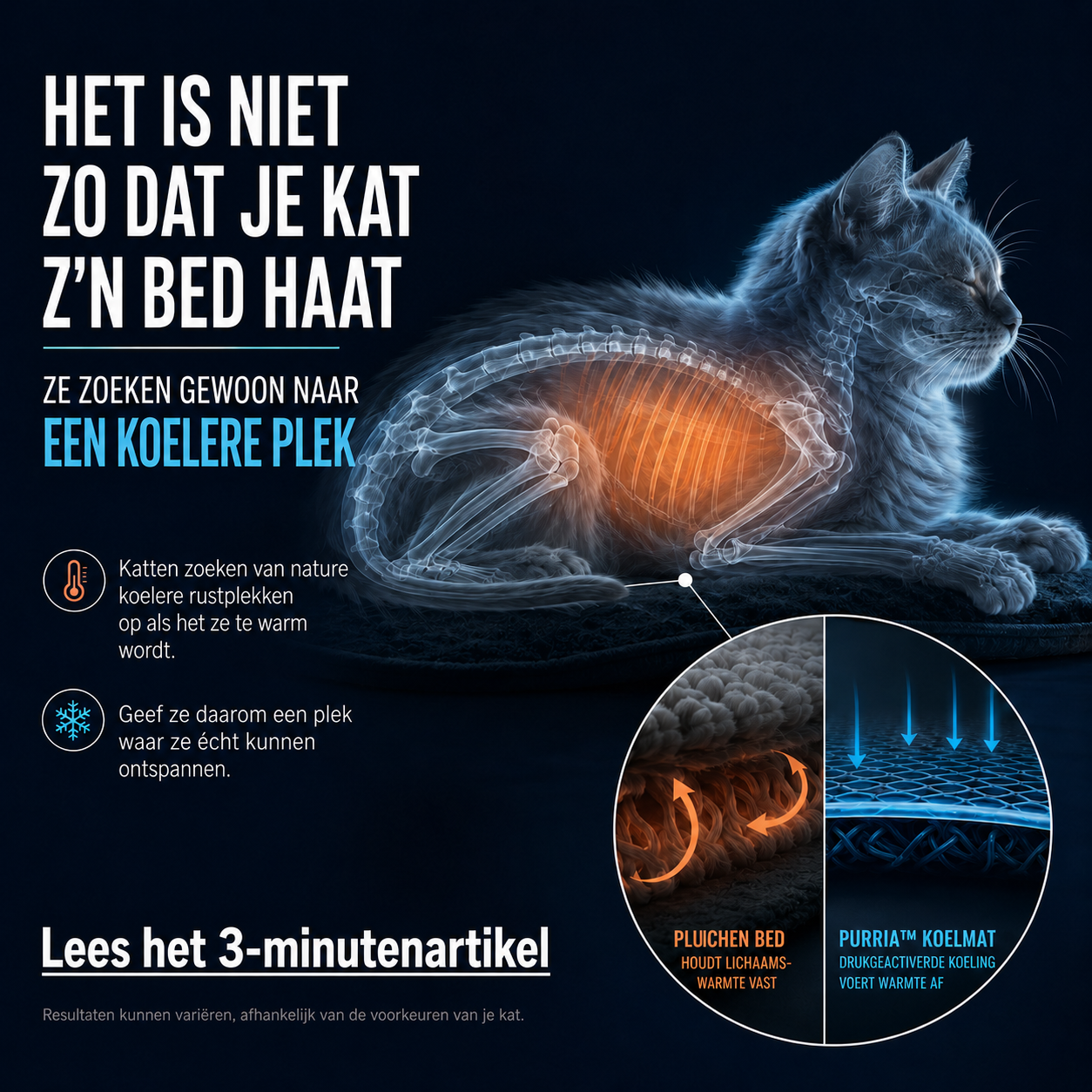Laura Vermeulen Facebook ad: Heb jij een kat? Lees dit dan goed.