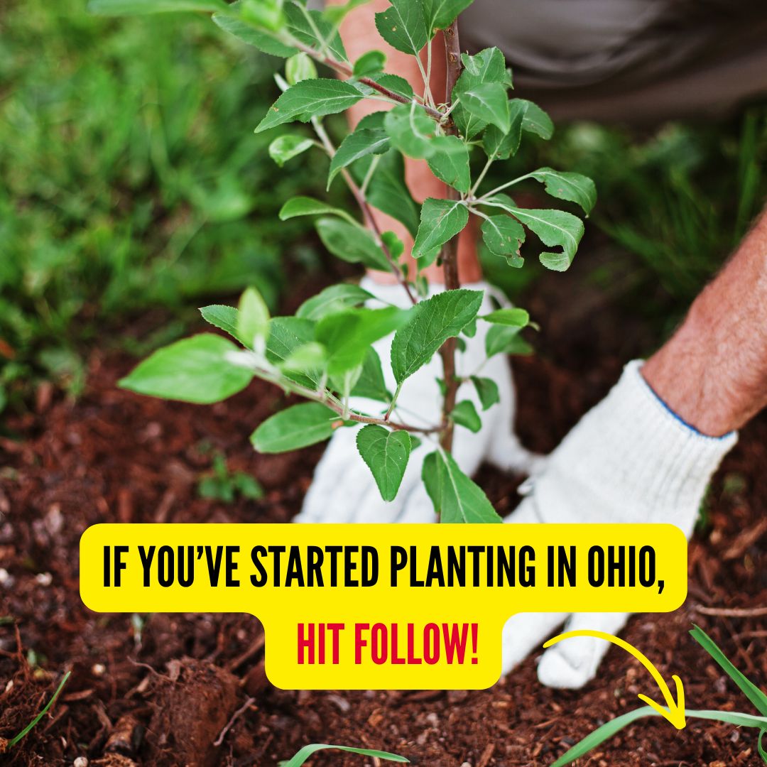Ohio Gardener Facebook ad from Mar 26, 2026