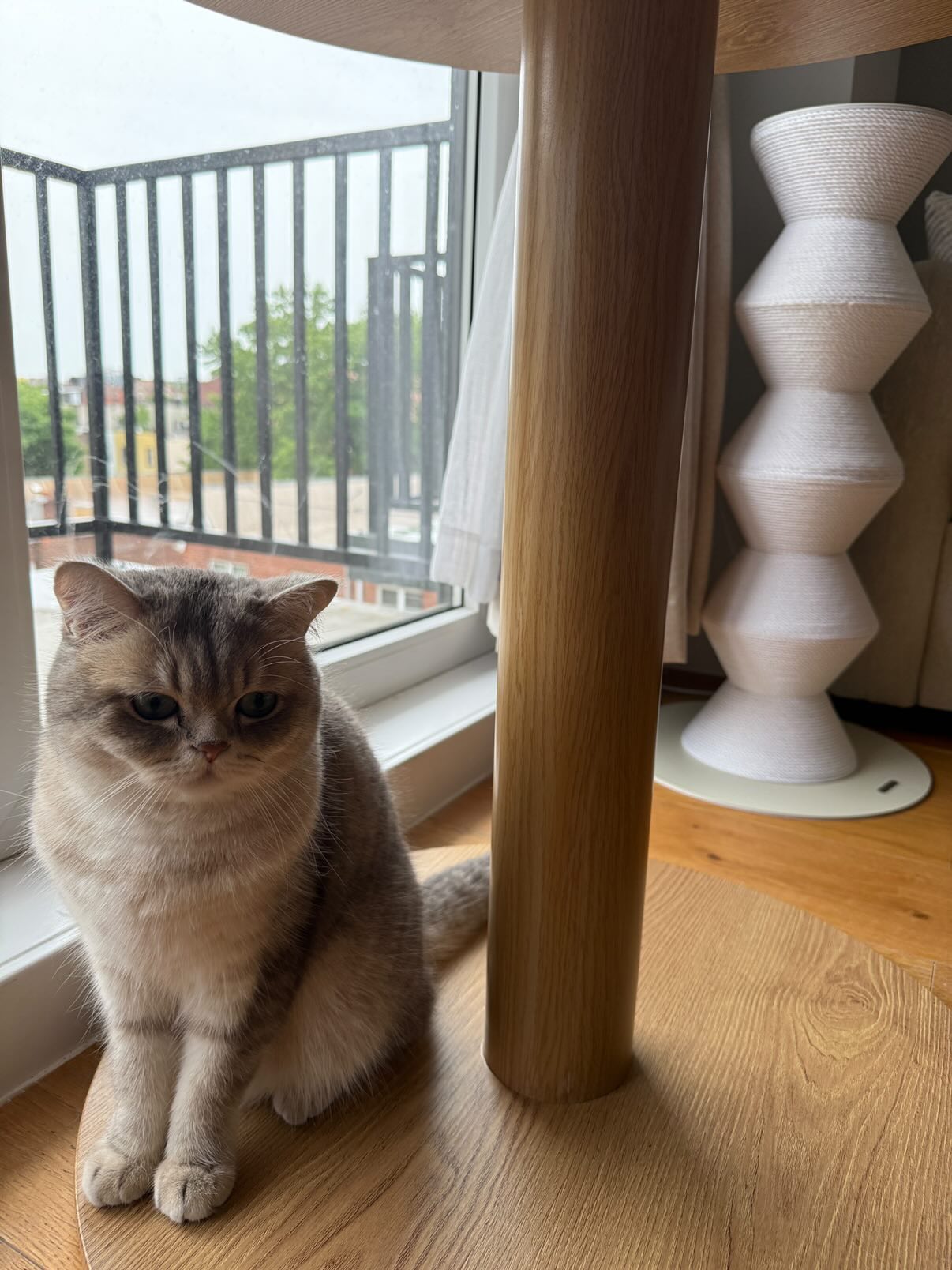 Furrytail_us Facebook ad