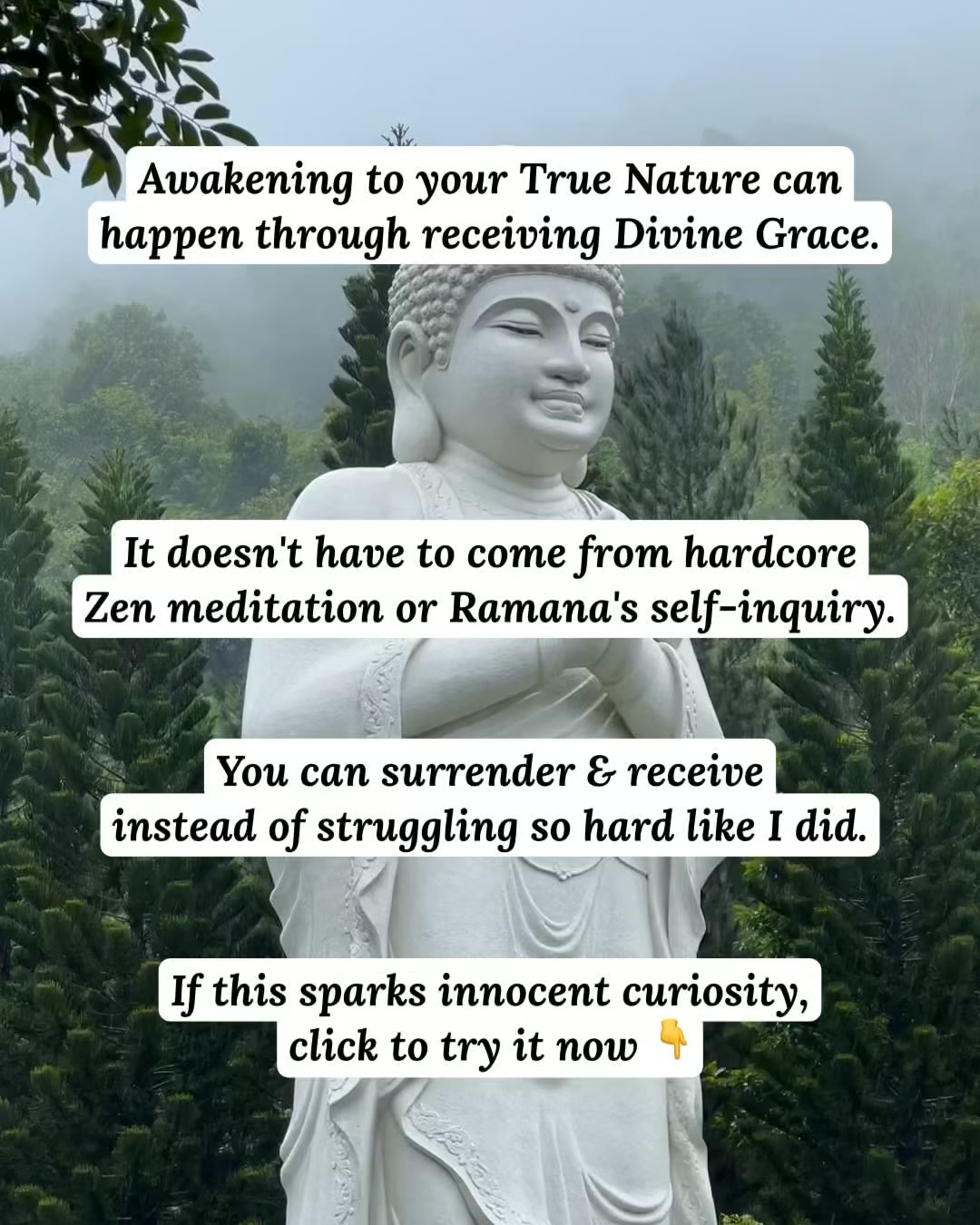The Ascension Field Facebook ad: Try it free, Divine Energy Transmission for spiritual…