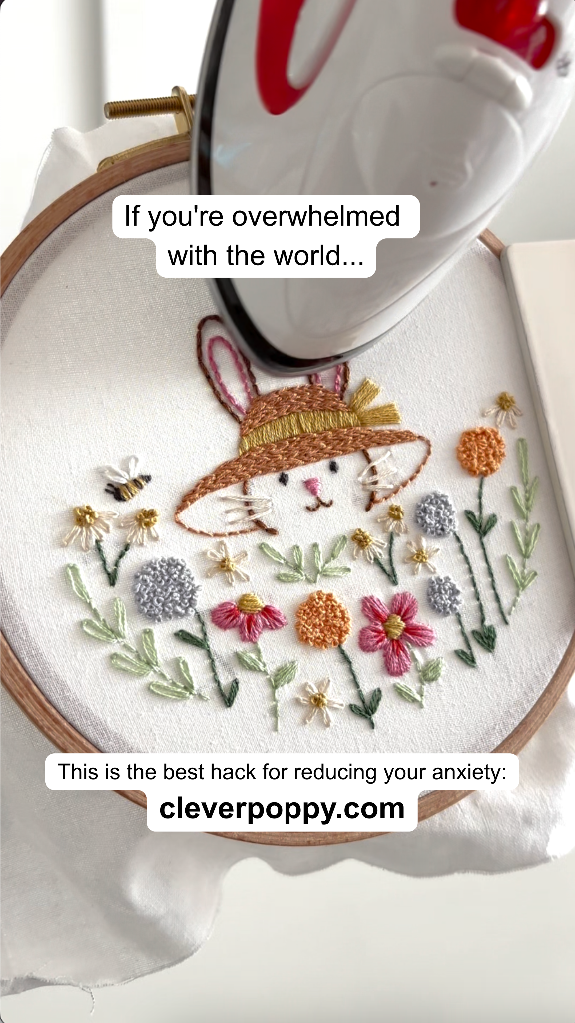 Clever Poppy Facebook ad