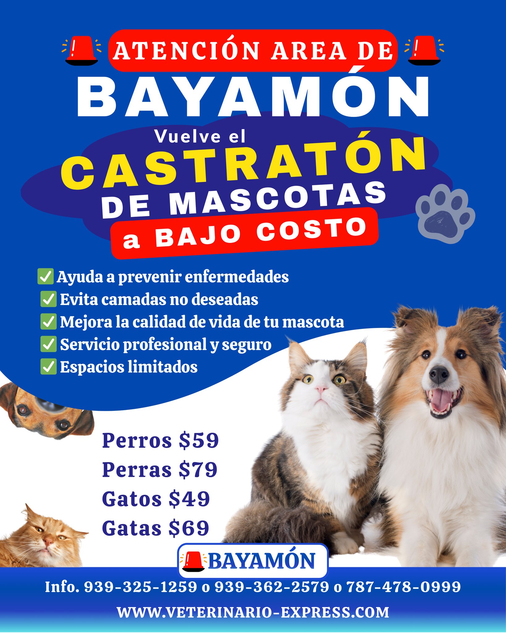Veterinario Express Puerto Rico Facebook ad