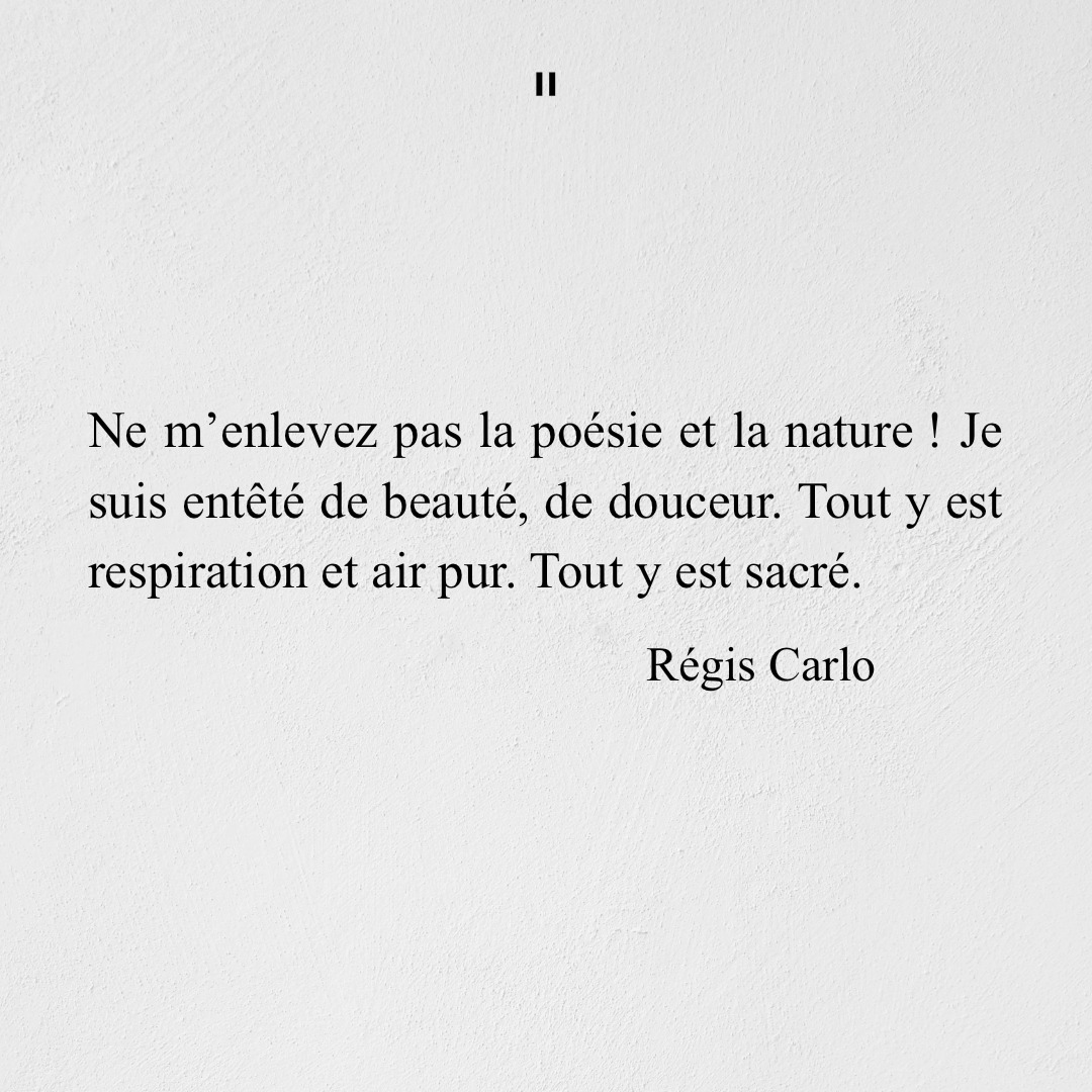 Régis Carlo Facebook ad