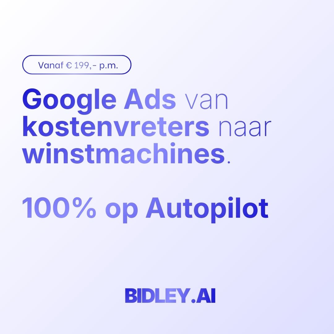 Bidley.ai - 24/7 AI Google Ads optimalisatie Facebook ad