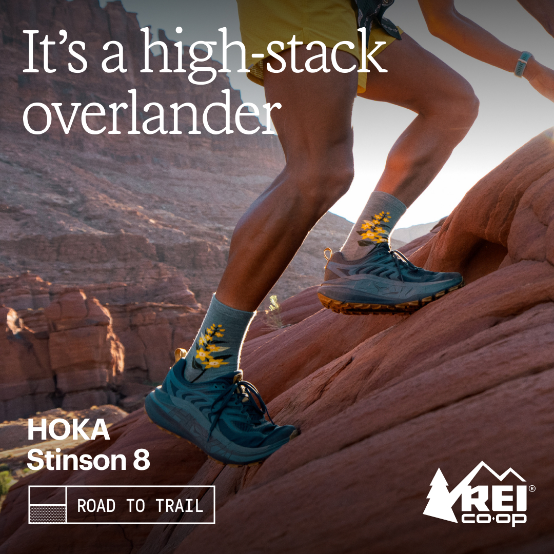 REI Facebook ad