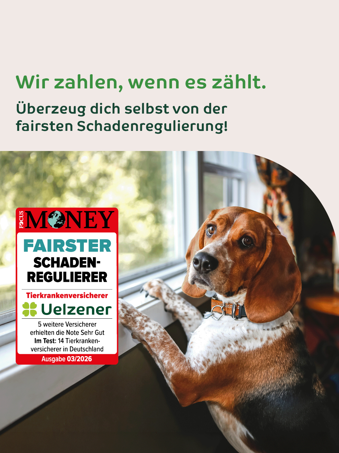 Uelzener Versicherungen Facebook ad: Uelzener Hunde-Versicherungen