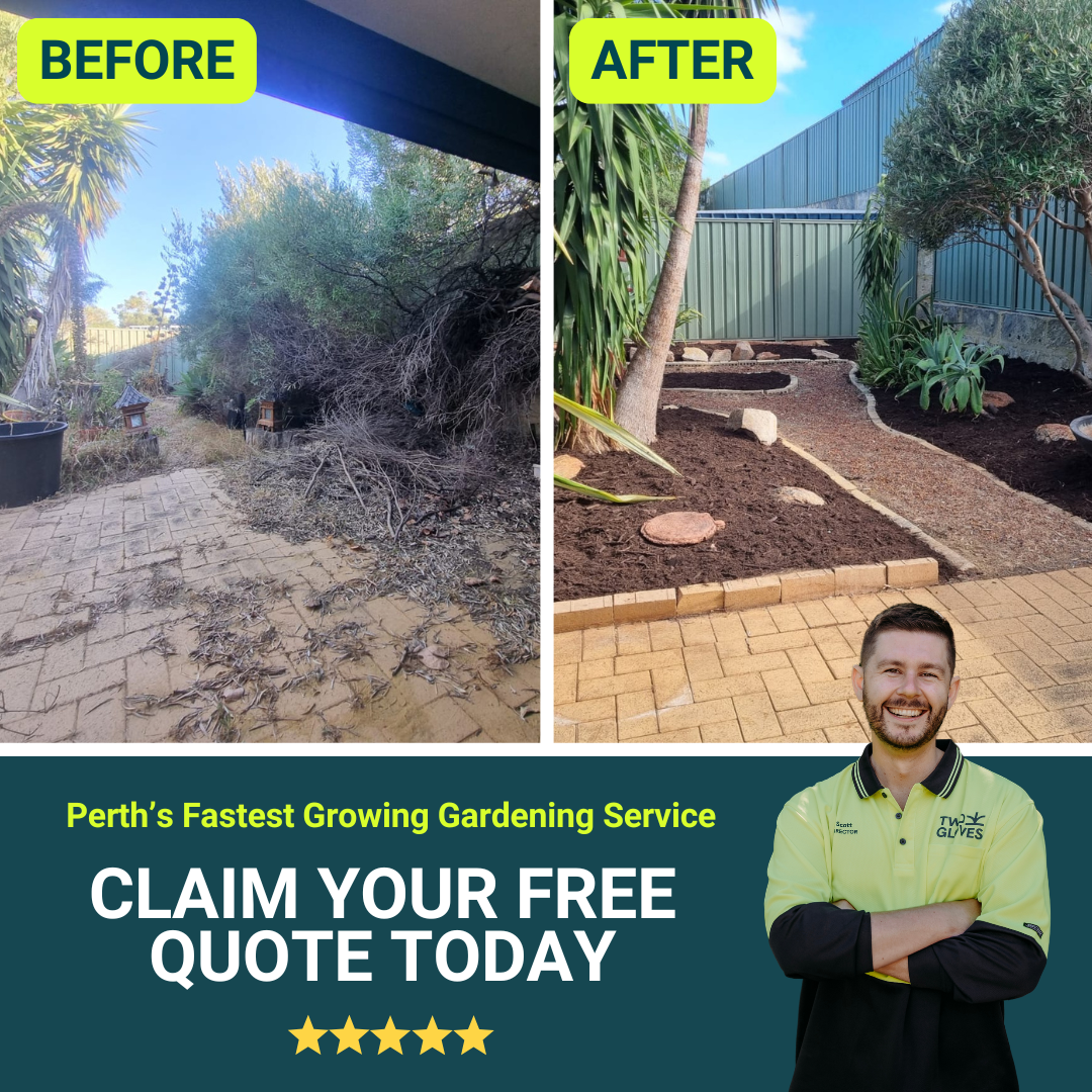 Two Gloves Facebook ad: Perth’s Fastest Growing Gardening Service