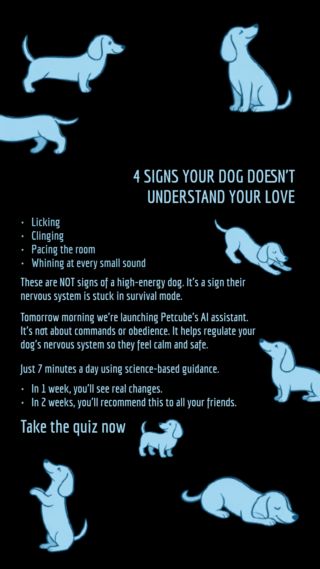 Petcube Facebook ad
