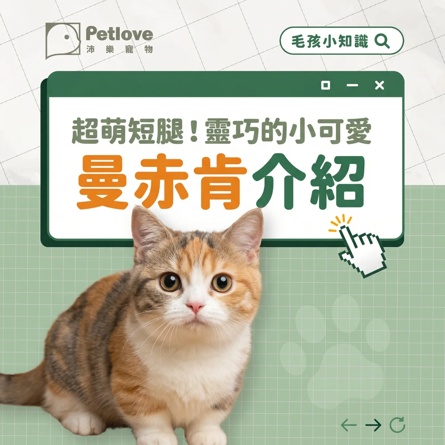 Petlove沛樂寵物 Facebook ad