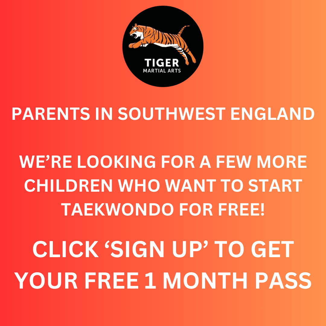 Tiger Martial Arts Facebook ad: FREE MONTH of Martial Arts for your child