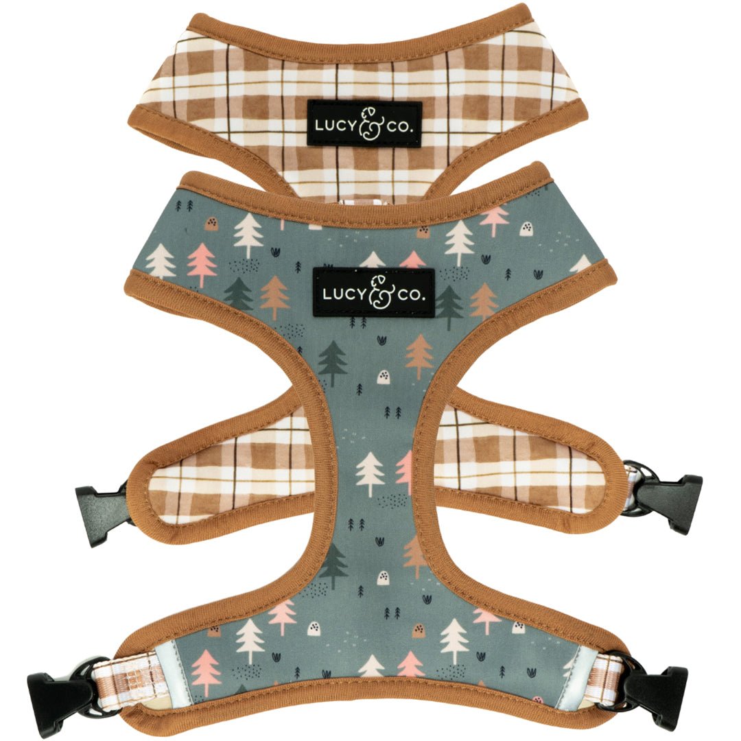 Lucy & Co. Facebook ad