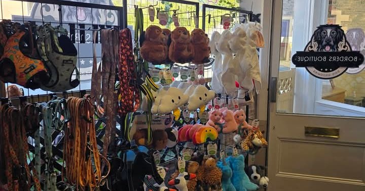 Borders Dog Grooming Boutique Facebook ad: Borders dog grooming Boutique is a grooming salon…