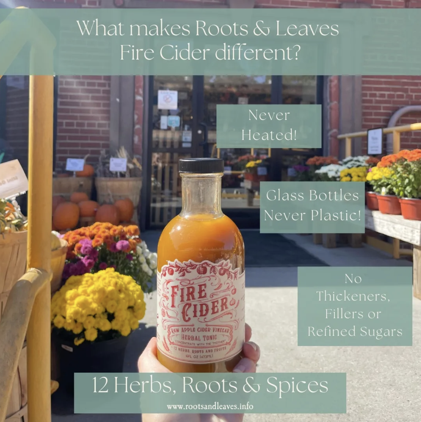 Roots and Leaves Facebook ad