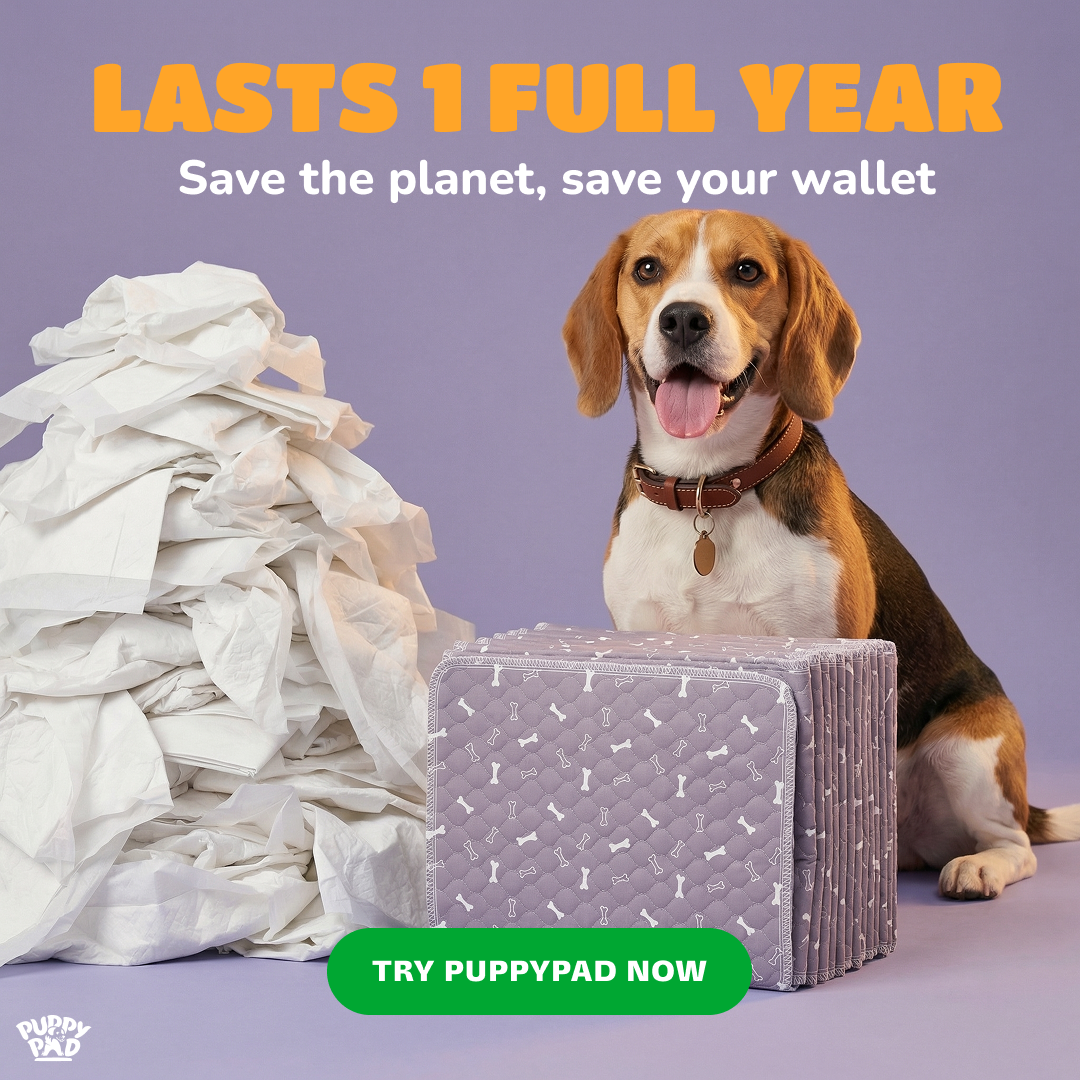 PuppyPad Facebook ad
