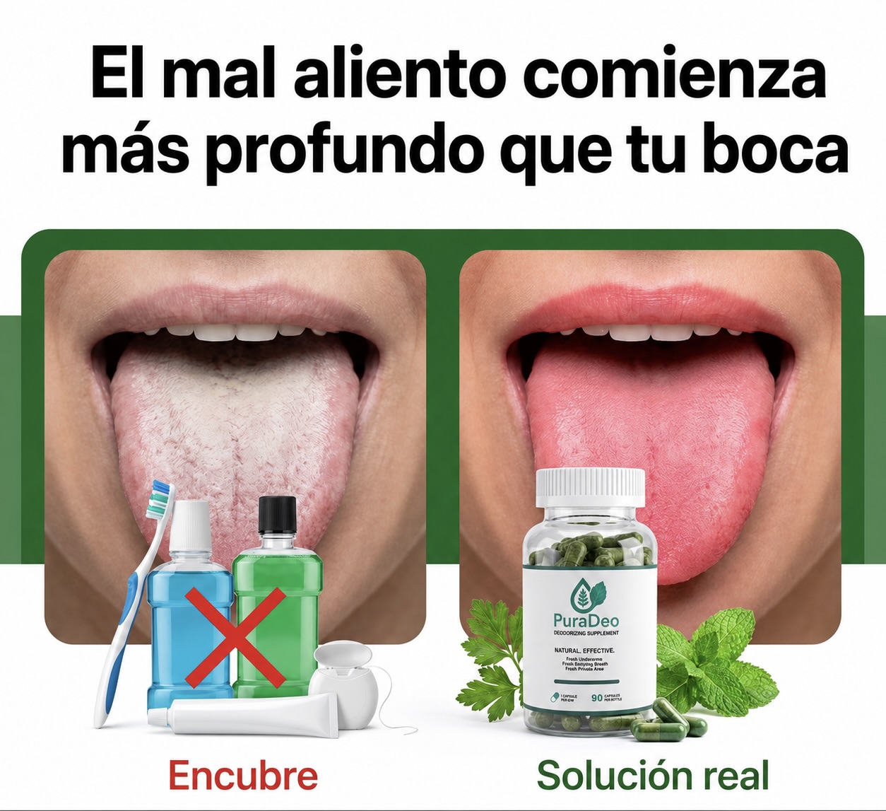 Bella Rosy Recomienda Facebook ad