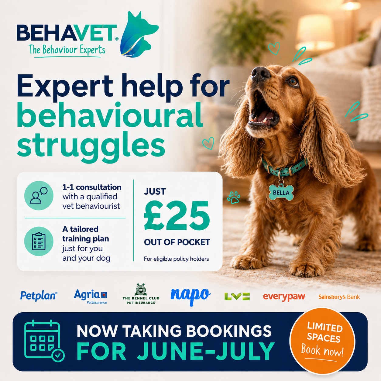 Behavet: The Pet Behaviour Experts Facebook ad