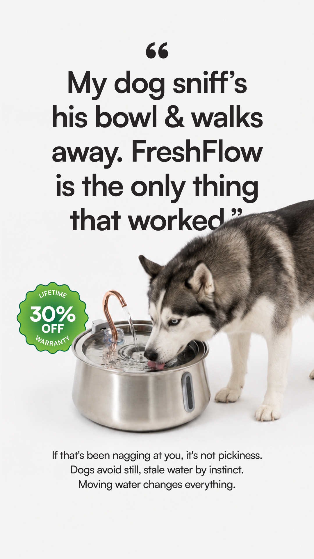 Rhykin Pet Co Facebook ad