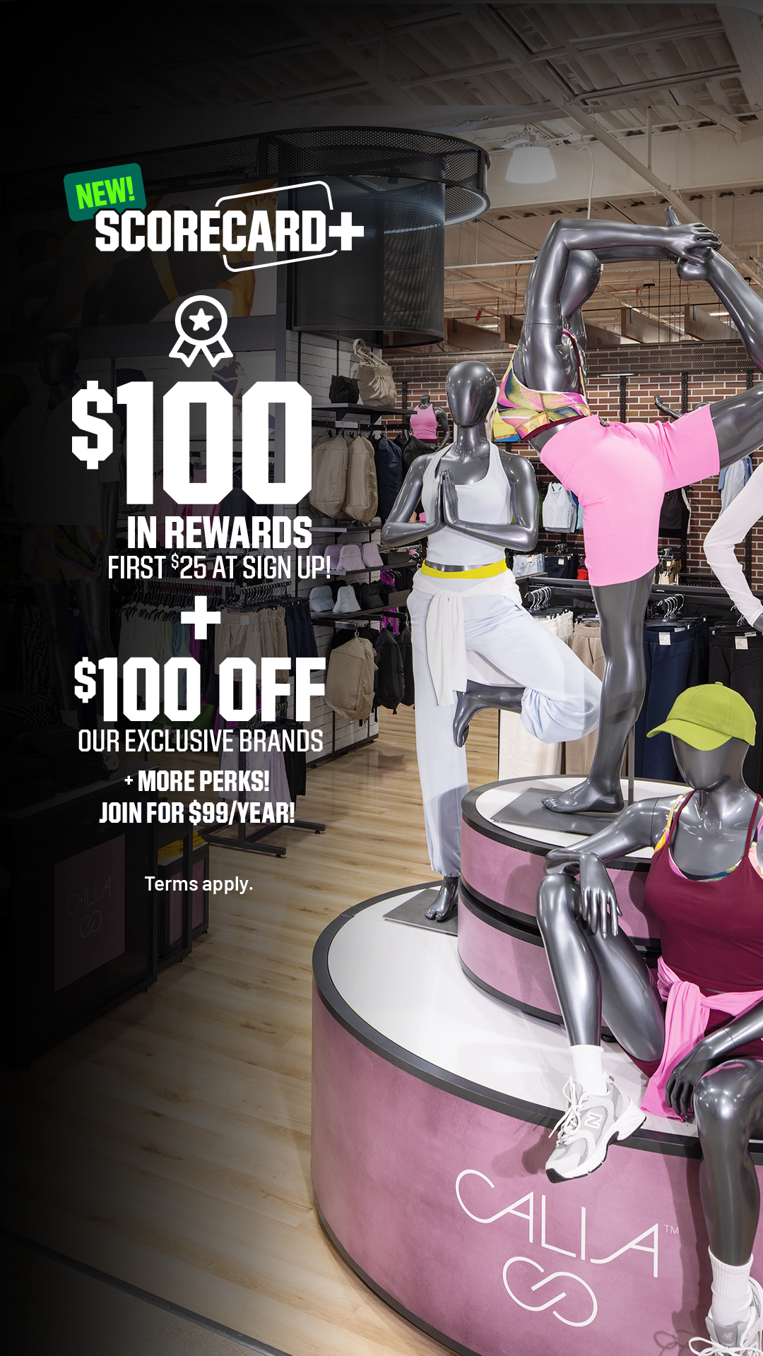 DICK'S Sporting Goods Facebook ad: Sign Up for $99/Year
