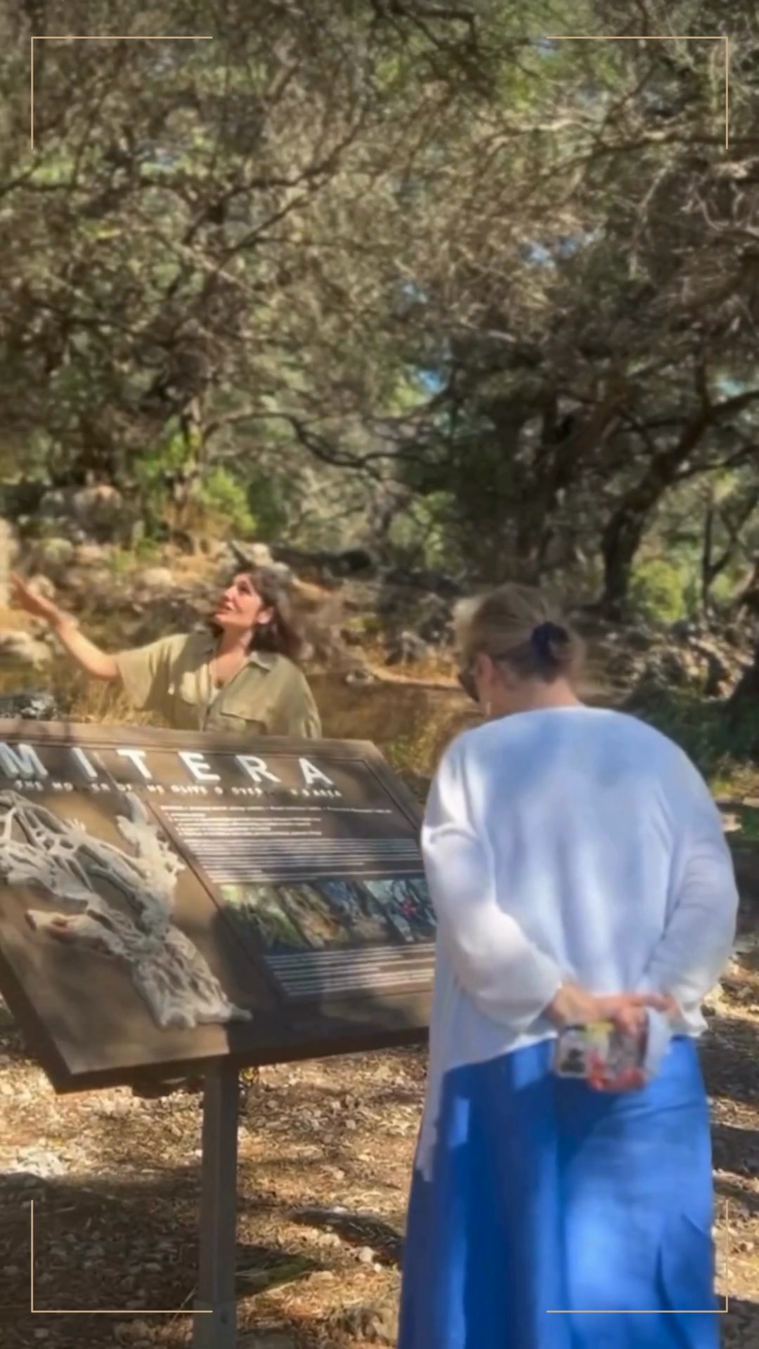 Corfu Olive Tours - The Governor's Olive Mill Facebook ad: Book Your Corfu Olive Tour